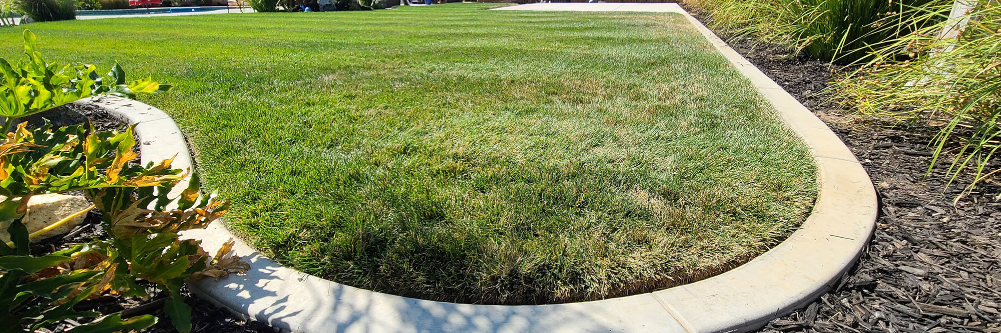 a rounded curb border around backyard grass in Fresno, California